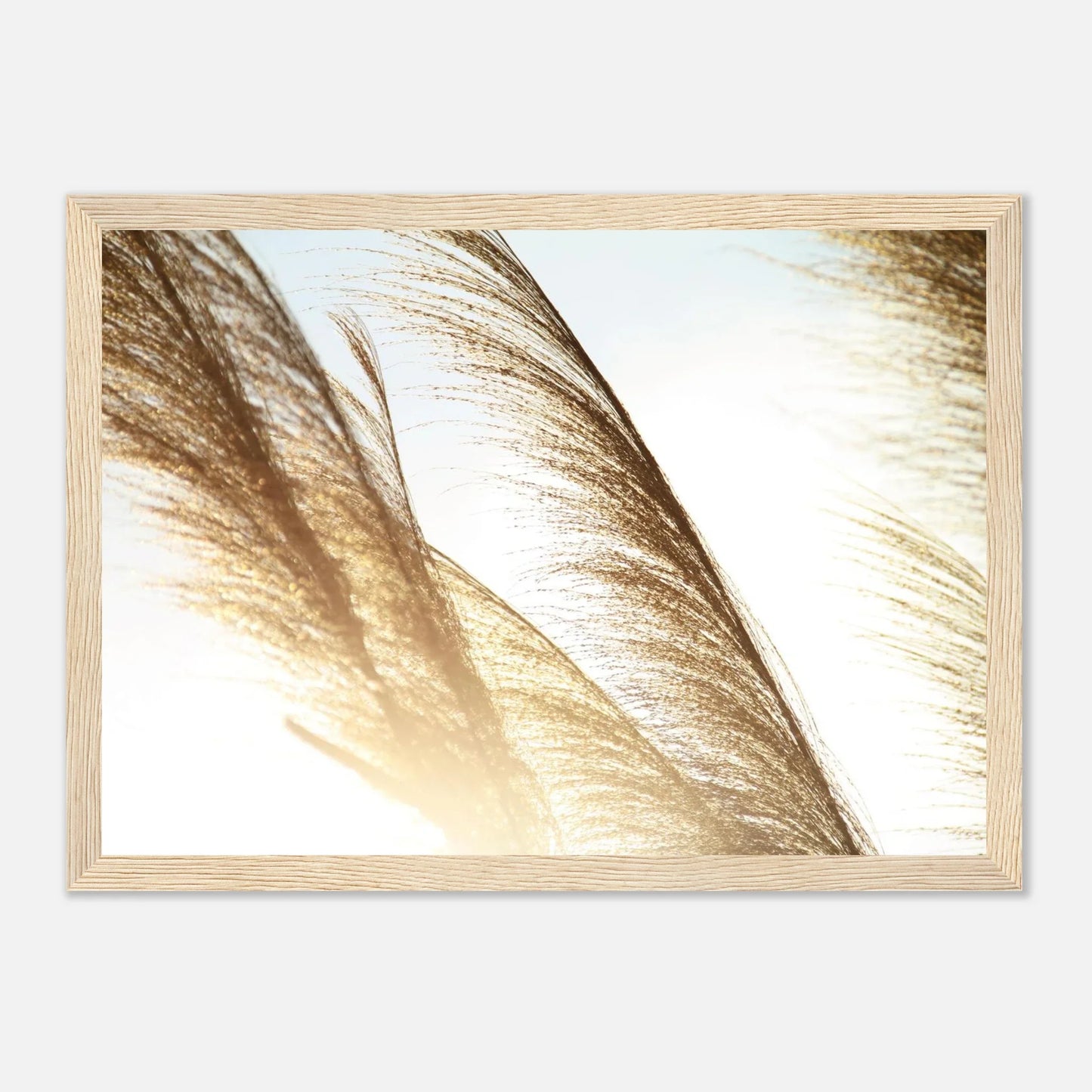 HAPPY MIND Poster *Freiheit im Wind*