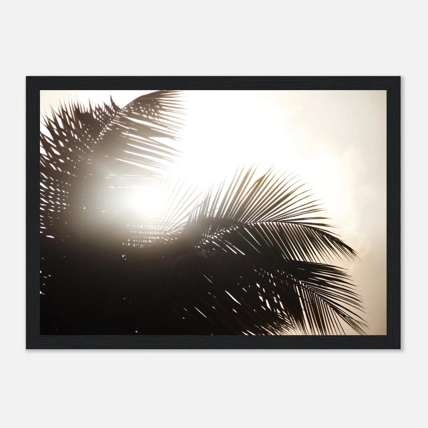 HAPPY MIND Poster *Palme & Sonne*