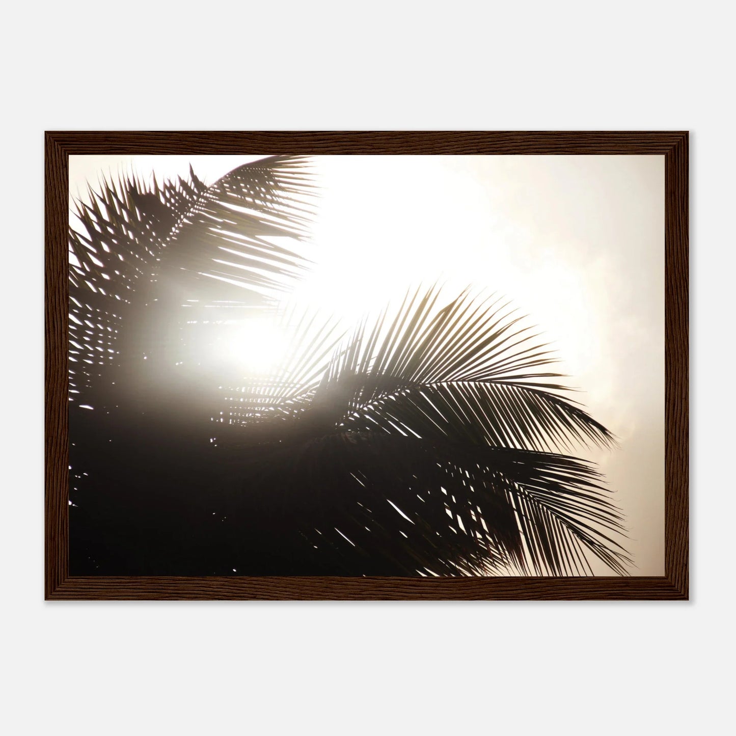 HAPPY MIND Poster *Palme & Sonne*