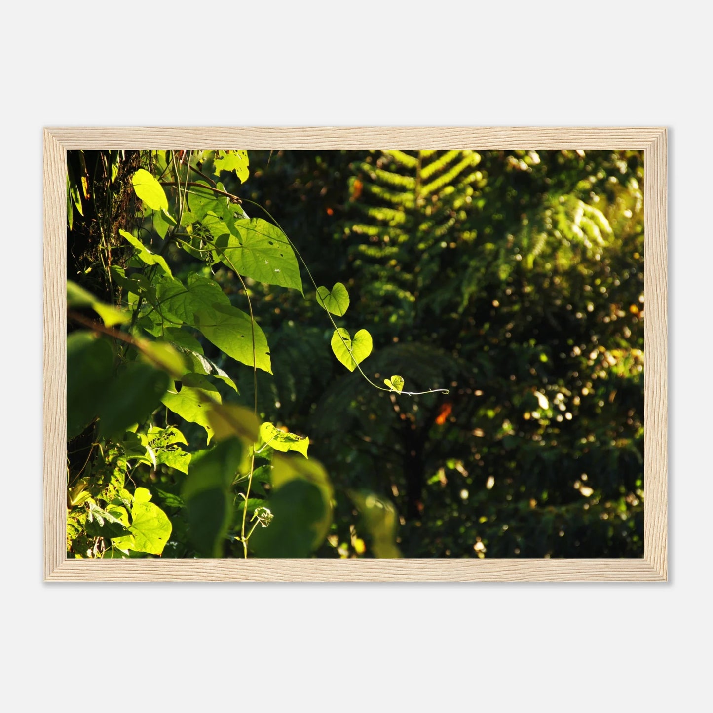 HAPPY MIND Poster *Herzen im Dschungel*
