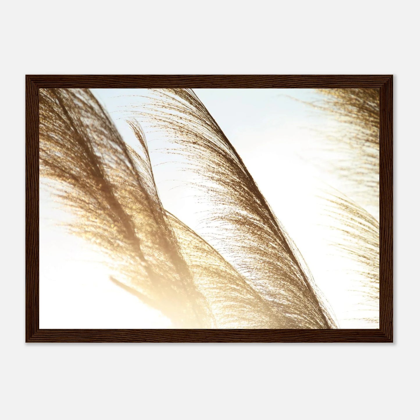 HAPPY MIND Poster *Freiheit im Wind*