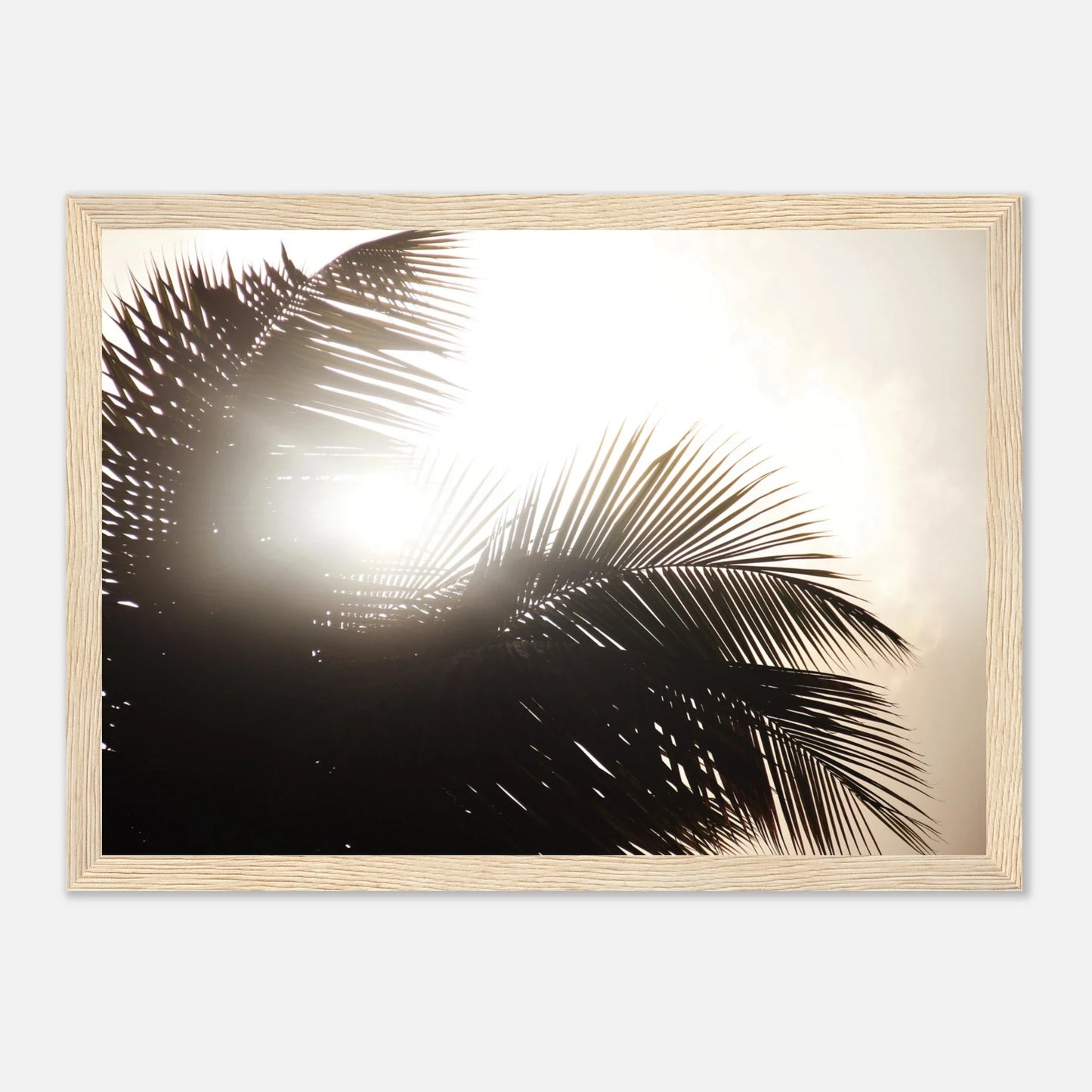 HAPPY MIND Poster *Palme & Sonne*
