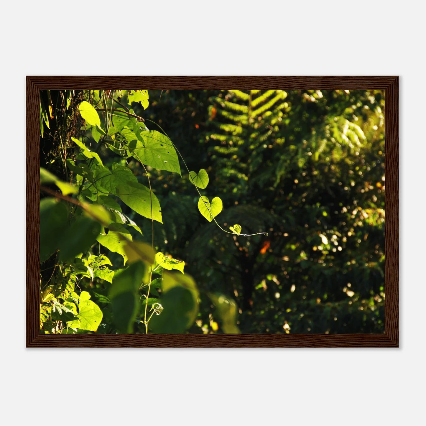 HAPPY MIND Poster *Herzen im Dschungel*