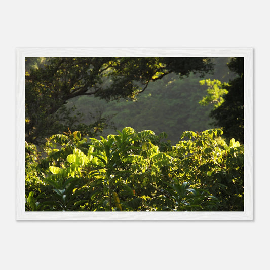 HAPPY MIND Poster *Tropischer Traum*