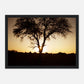 HAPPY MIND Poster *Magischer Baum*
