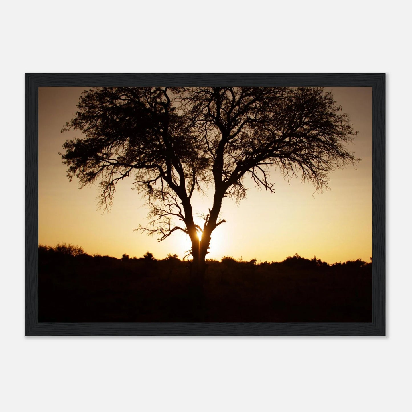 HAPPY MIND Poster *Magischer Baum*
