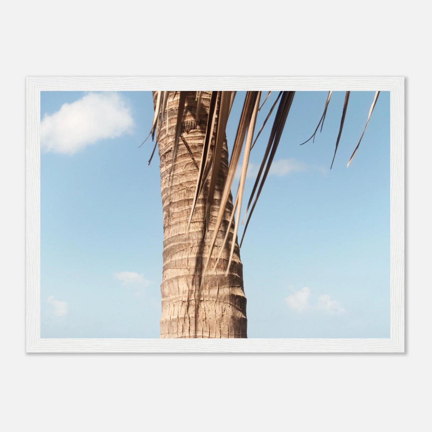 HAPPY MIND Poster *Karibische Palme l*