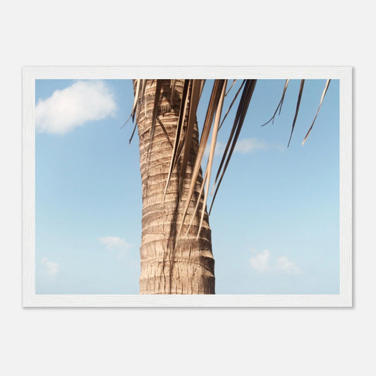 HAPPY MIND Poster *Karibische Palme l*