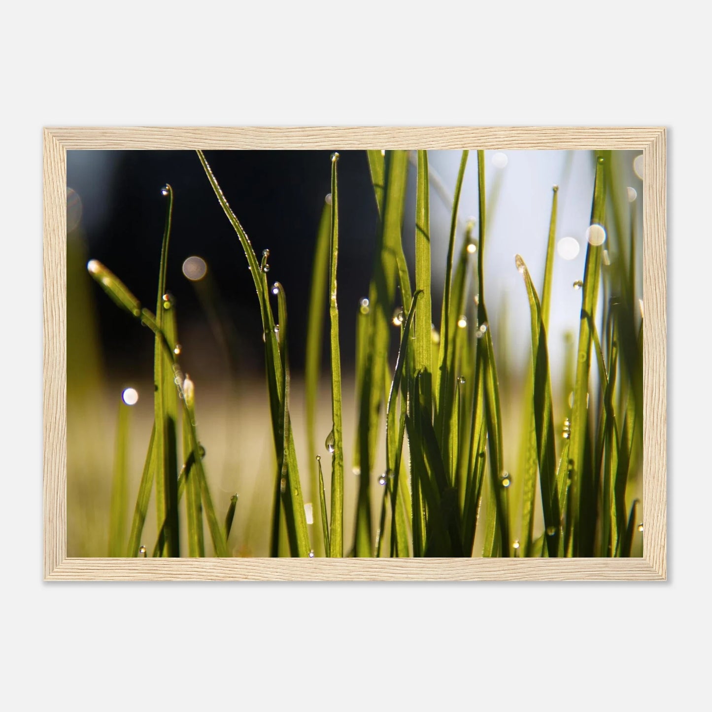 HAPPY MIND Poster *Verträumter Morgentau ll*