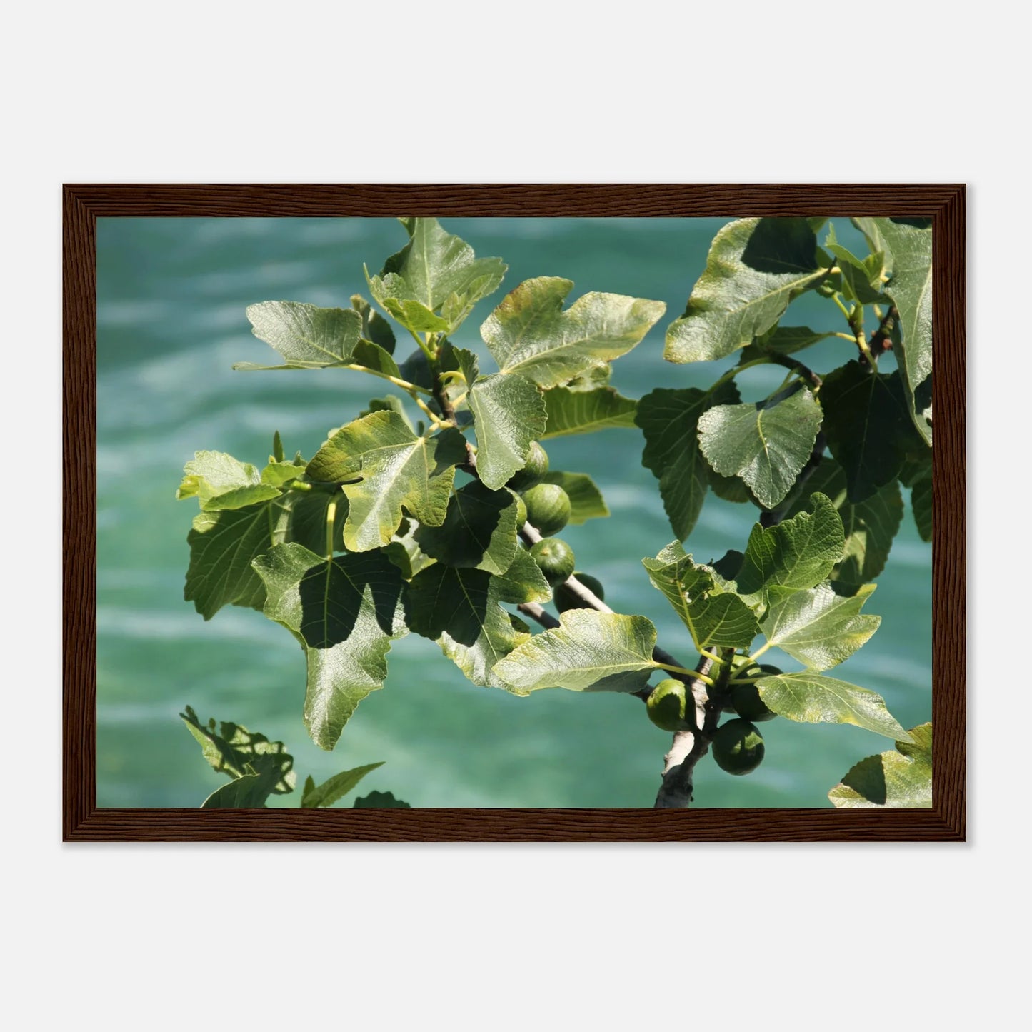 HAPPY MIND Poster *Italian Summer*