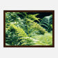 HAPPY MIND Poster *Natur pur*