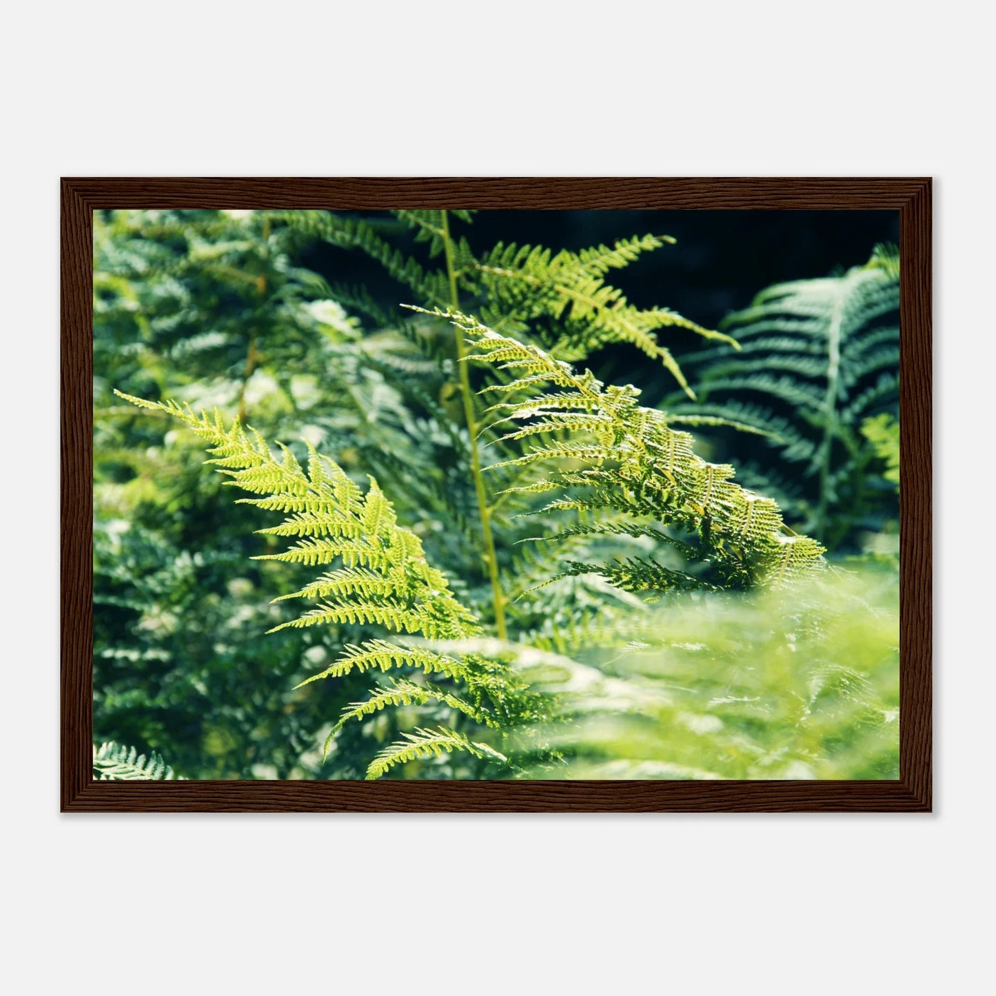 HAPPY MIND Poster *Natur pur*