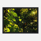 HAPPY MIND Poster *Herzen im Dschungel*