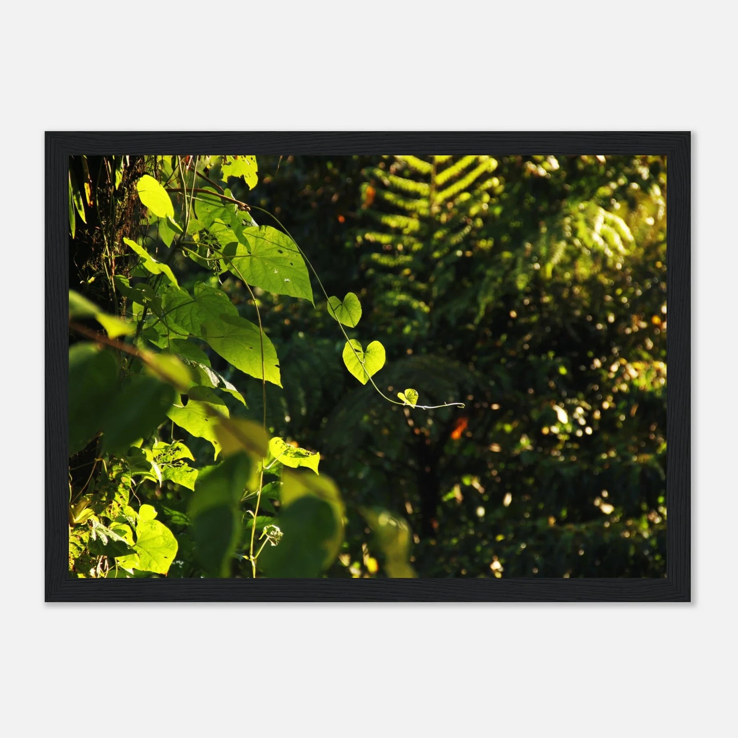 HAPPY MIND Poster *Herzen im Dschungel*