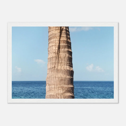 HAPPY MIND Poster *Karibische Palme ll*