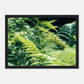 HAPPY MIND Poster *Natur pur*