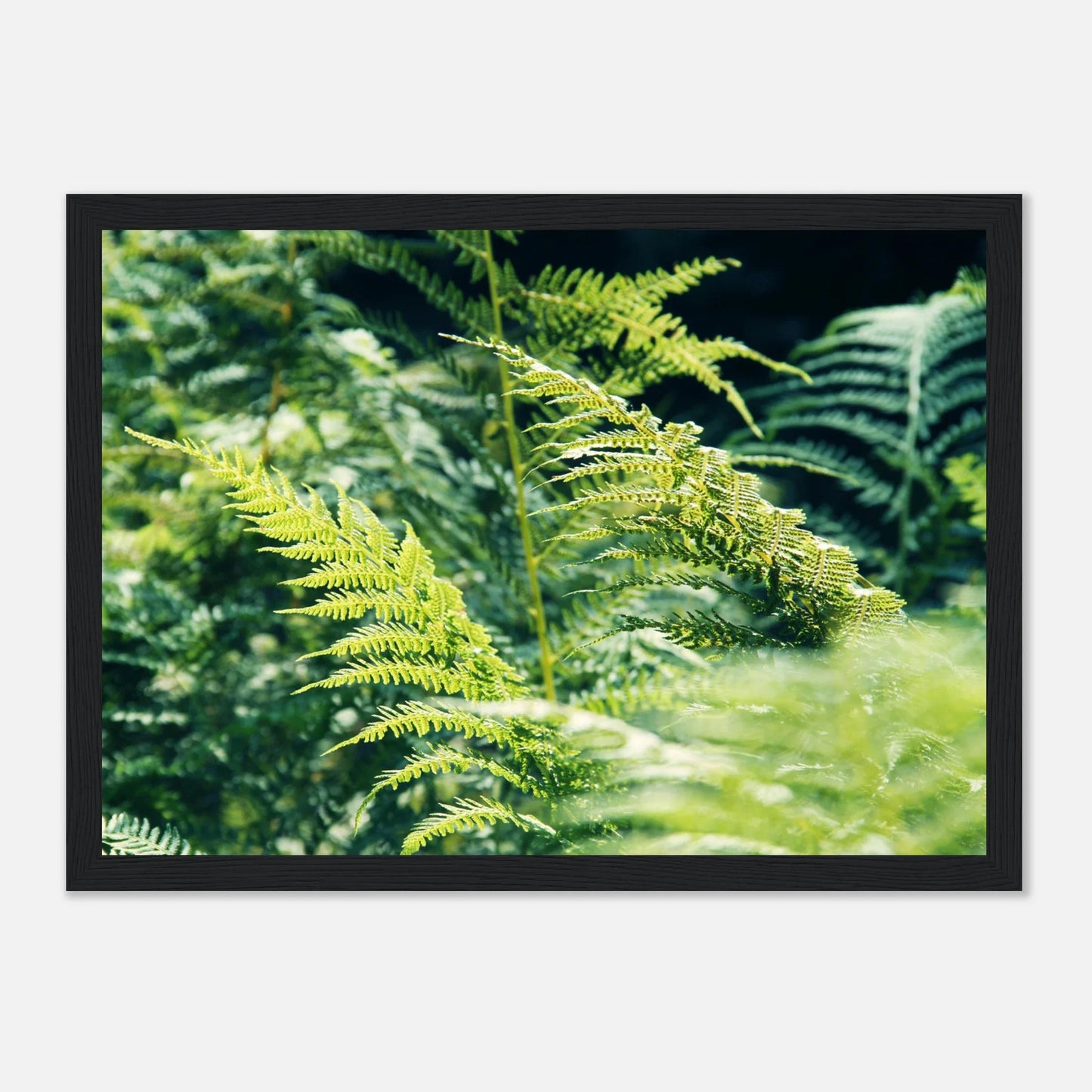 HAPPY MIND Poster *Natur pur*