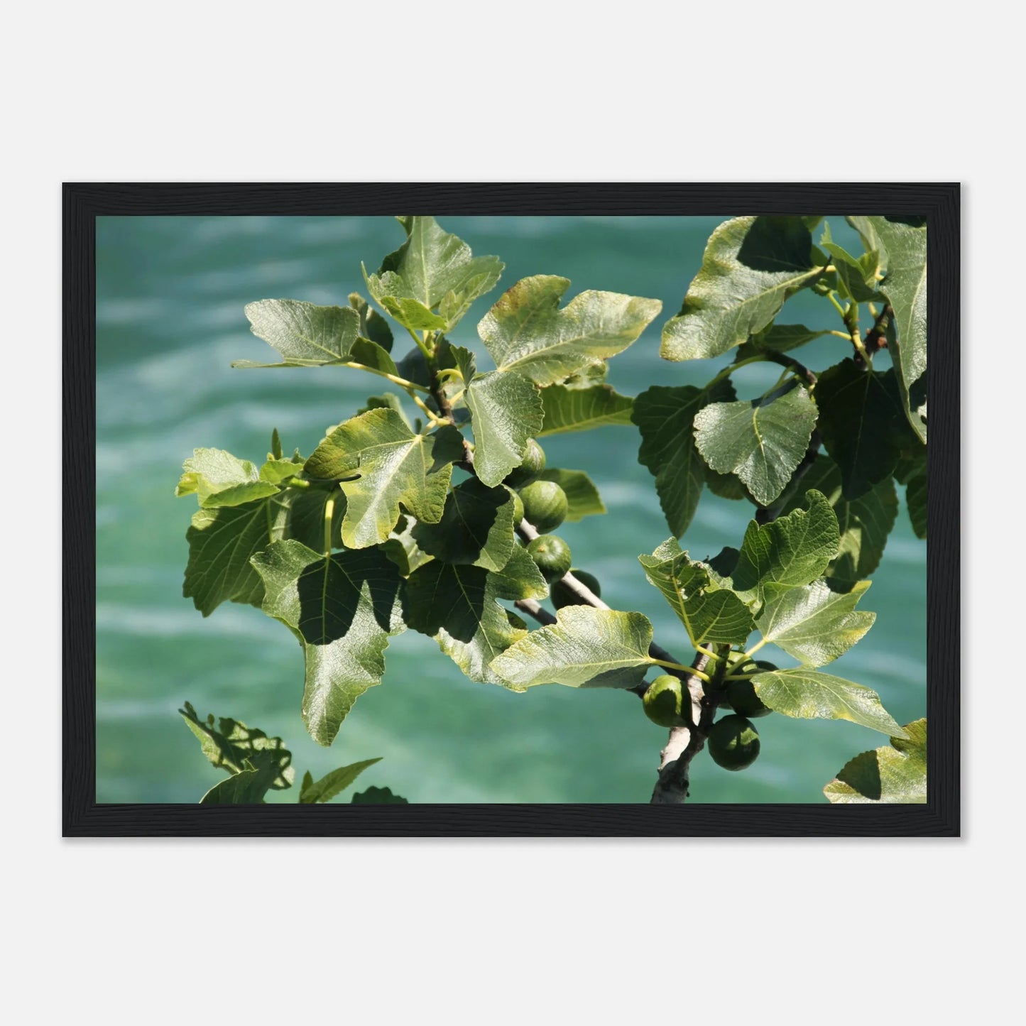 HAPPY MIND Poster *Italian Summer*