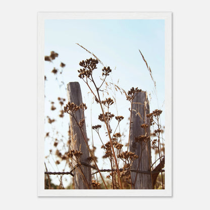 HAPPY MIND Poster *Landhaus-Feeling*