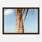 HAPPY MIND Poster *Karibische Palme l*