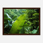 HAPPY MIND Poster *Into the Jungle*