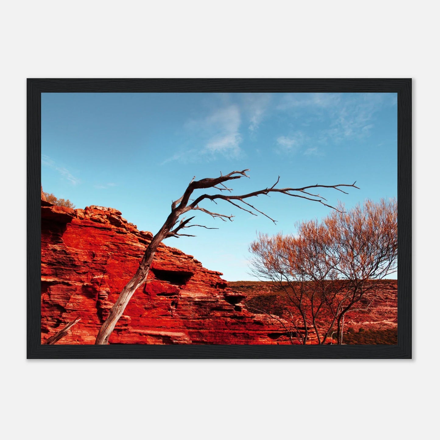 HAPPY MIND Poster *Starkes rotes Land*
