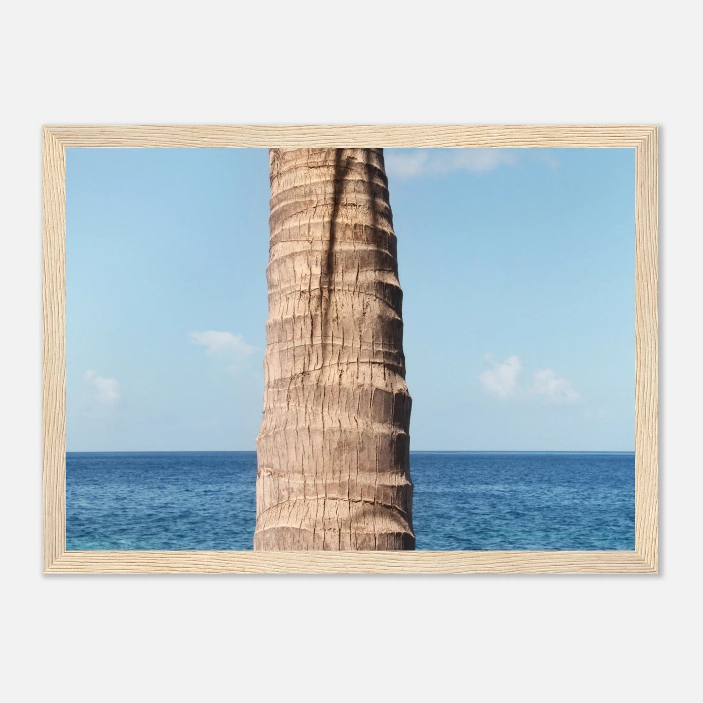HAPPY MIND Poster *Karibische Palme ll*