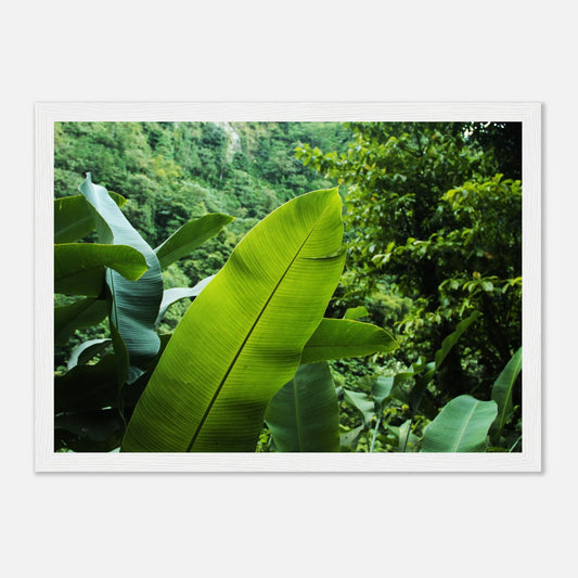HAPPY MIND Poster *Into the Jungle*
