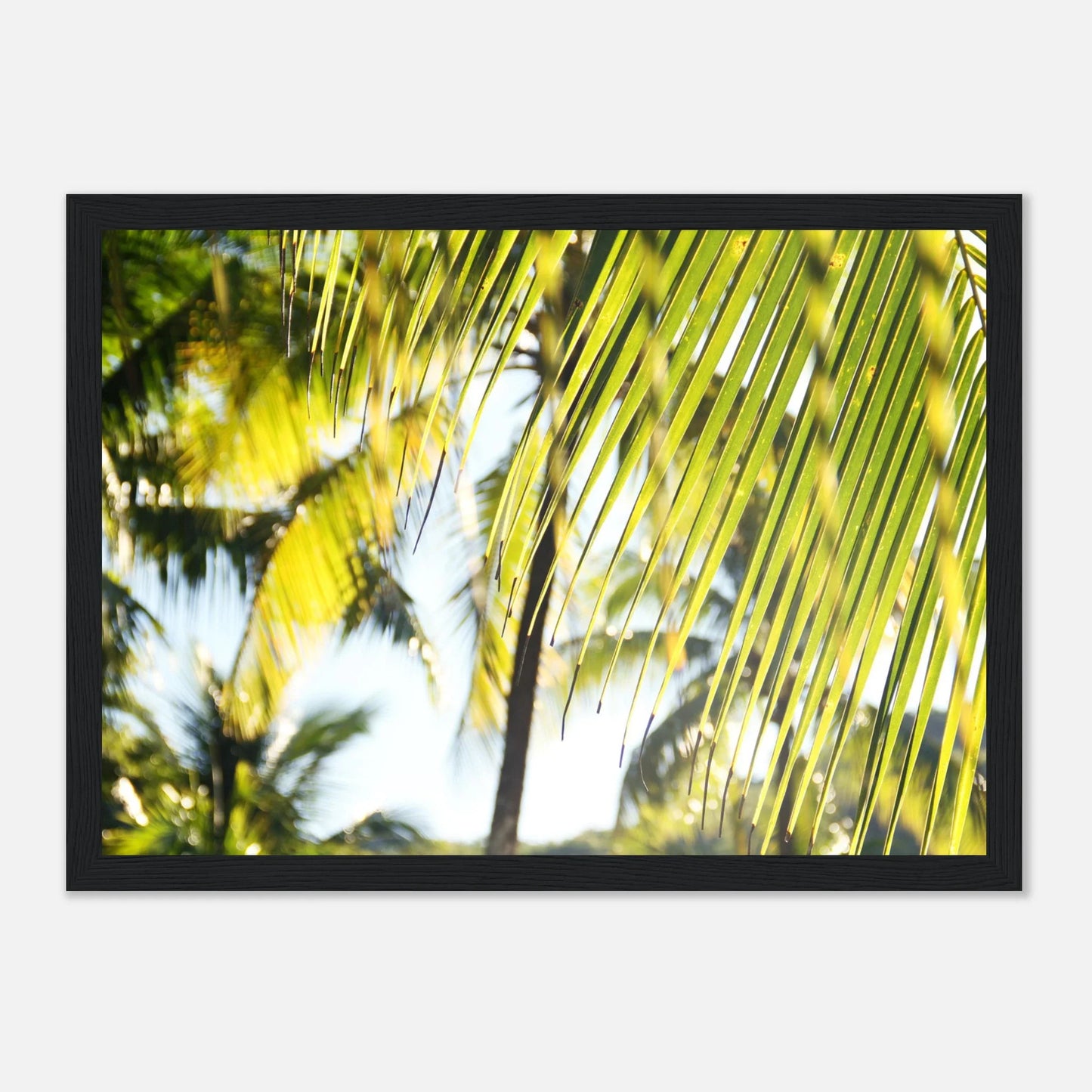 HAPPY MIND Poster *Tropenfeeling*