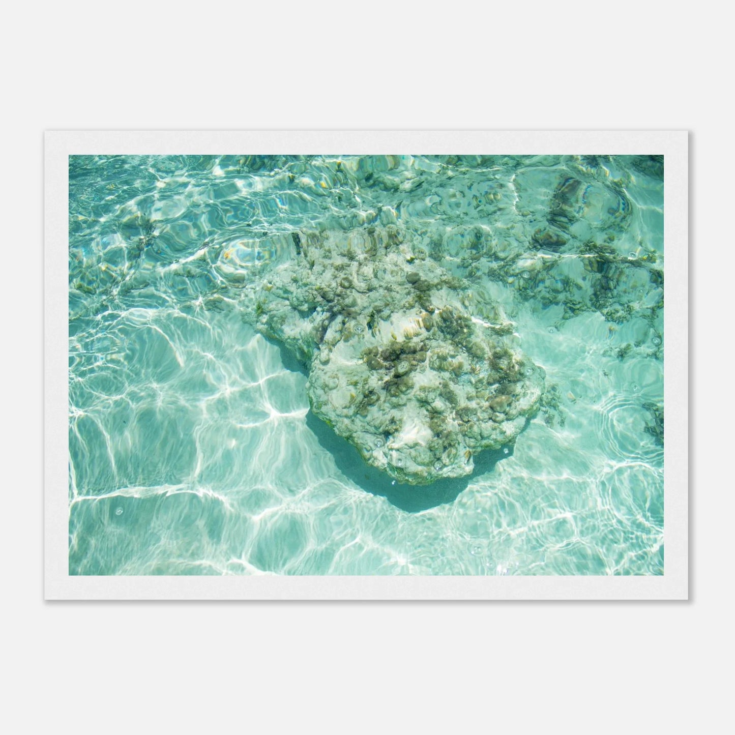 HAPPY MIND Poster *Tropischer Traum*