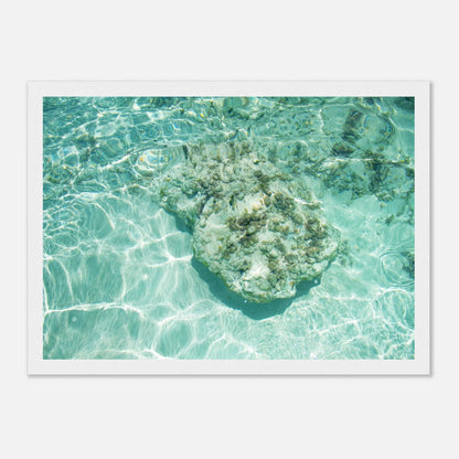 HAPPY MIND Poster *Tropischer Traum*