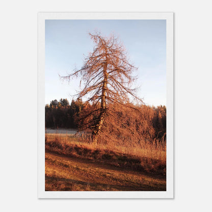 HAPPY MIND Poster *Wächter der Wege*