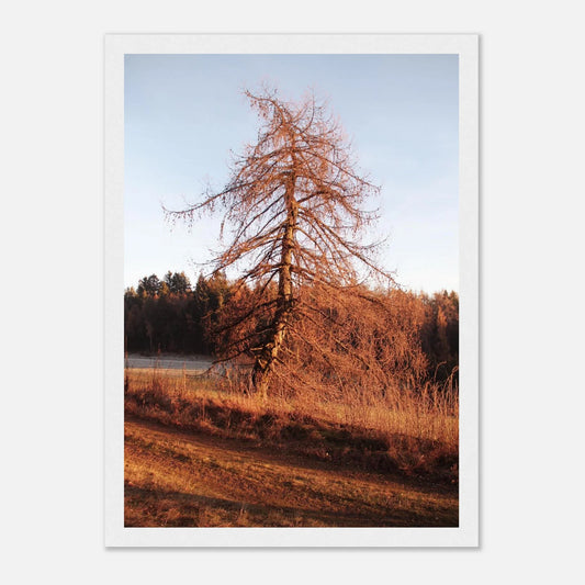 HAPPY MIND Poster *Wächter der Wege*
