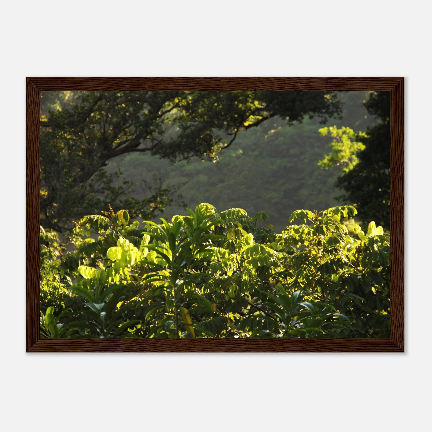 HAPPY MIND Poster *Tropischer Traum*