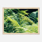 HAPPY MIND Poster *Natur pur*