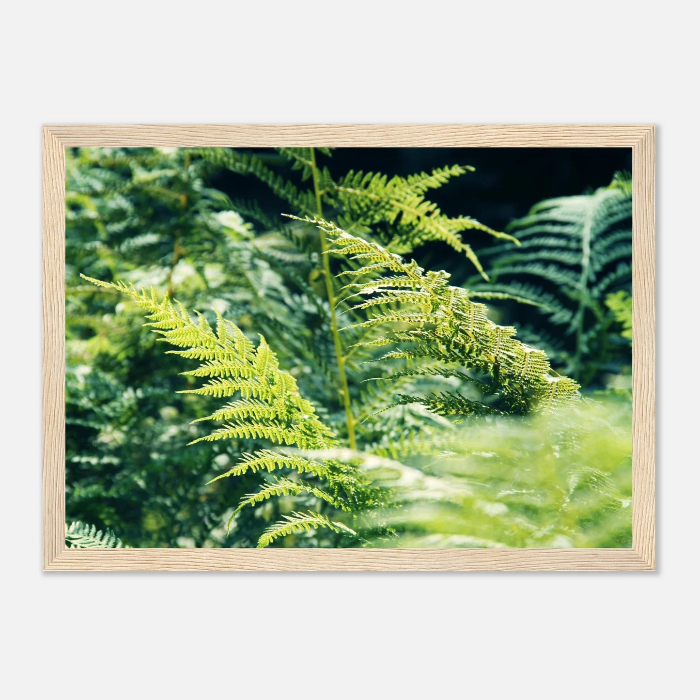 HAPPY MIND Poster *Natur pur*
