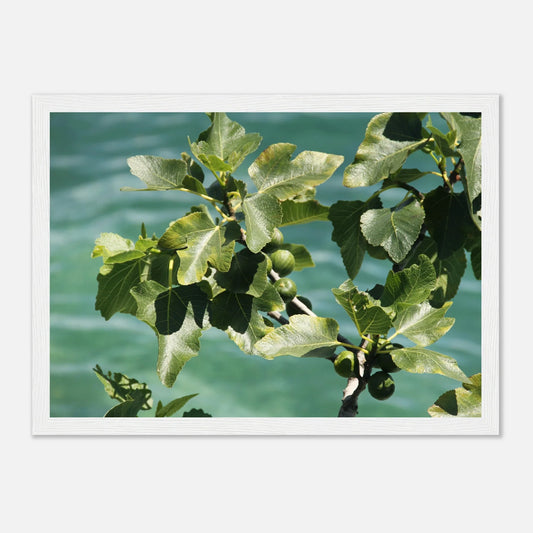 HAPPY MIND Poster *Italian Summer*