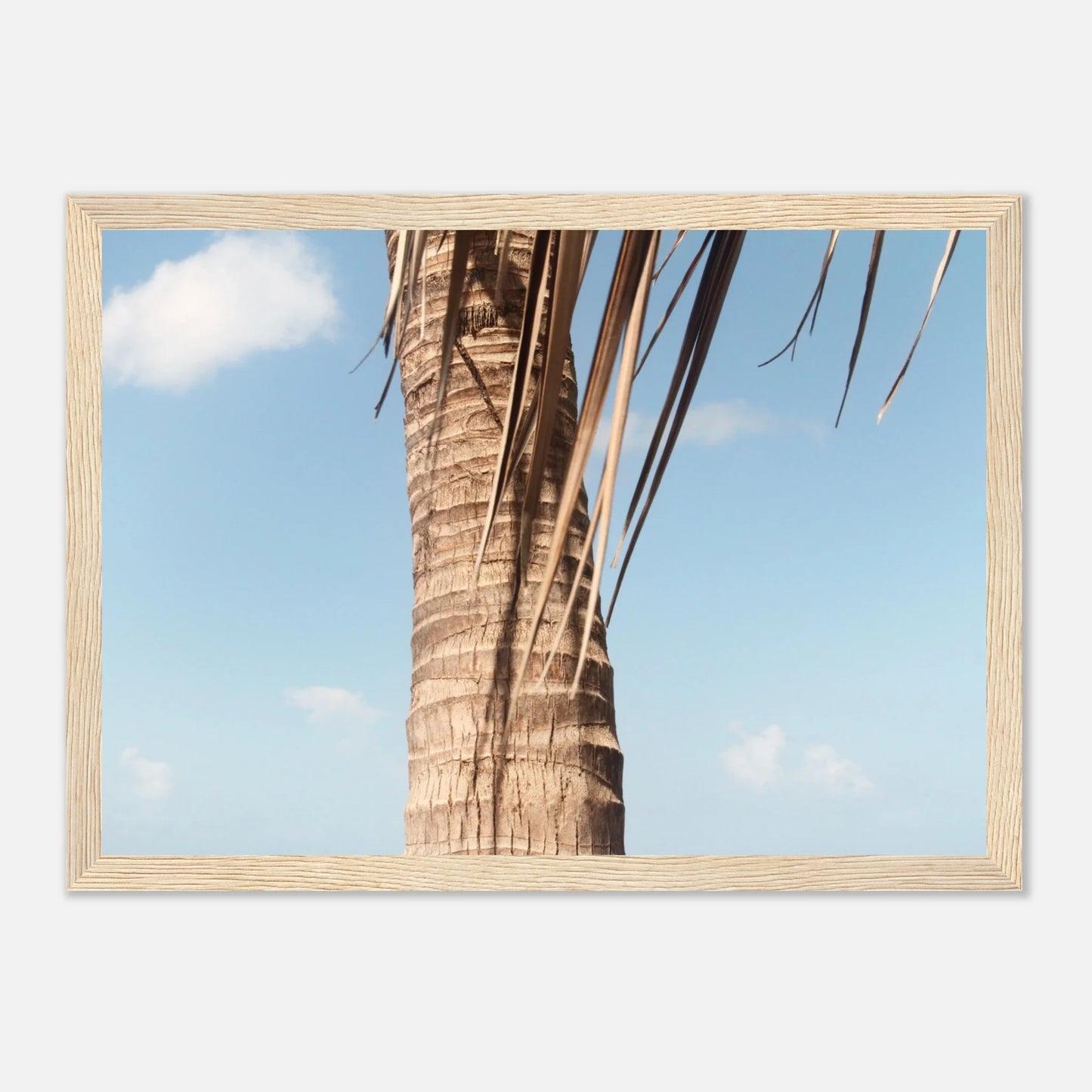 HAPPY MIND Poster *Karibische Palme l*