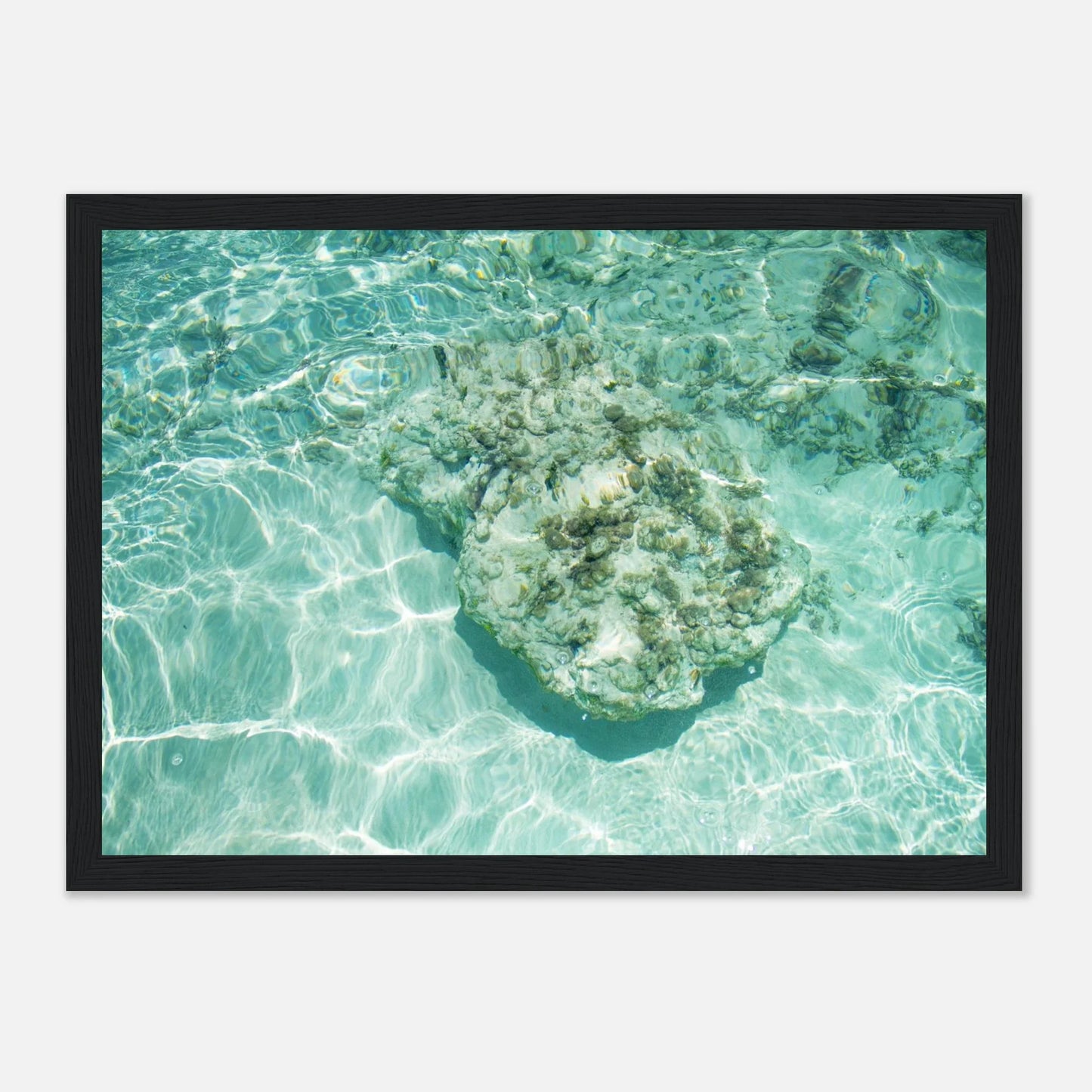 HAPPY MIND Poster *Tropischer Traum*