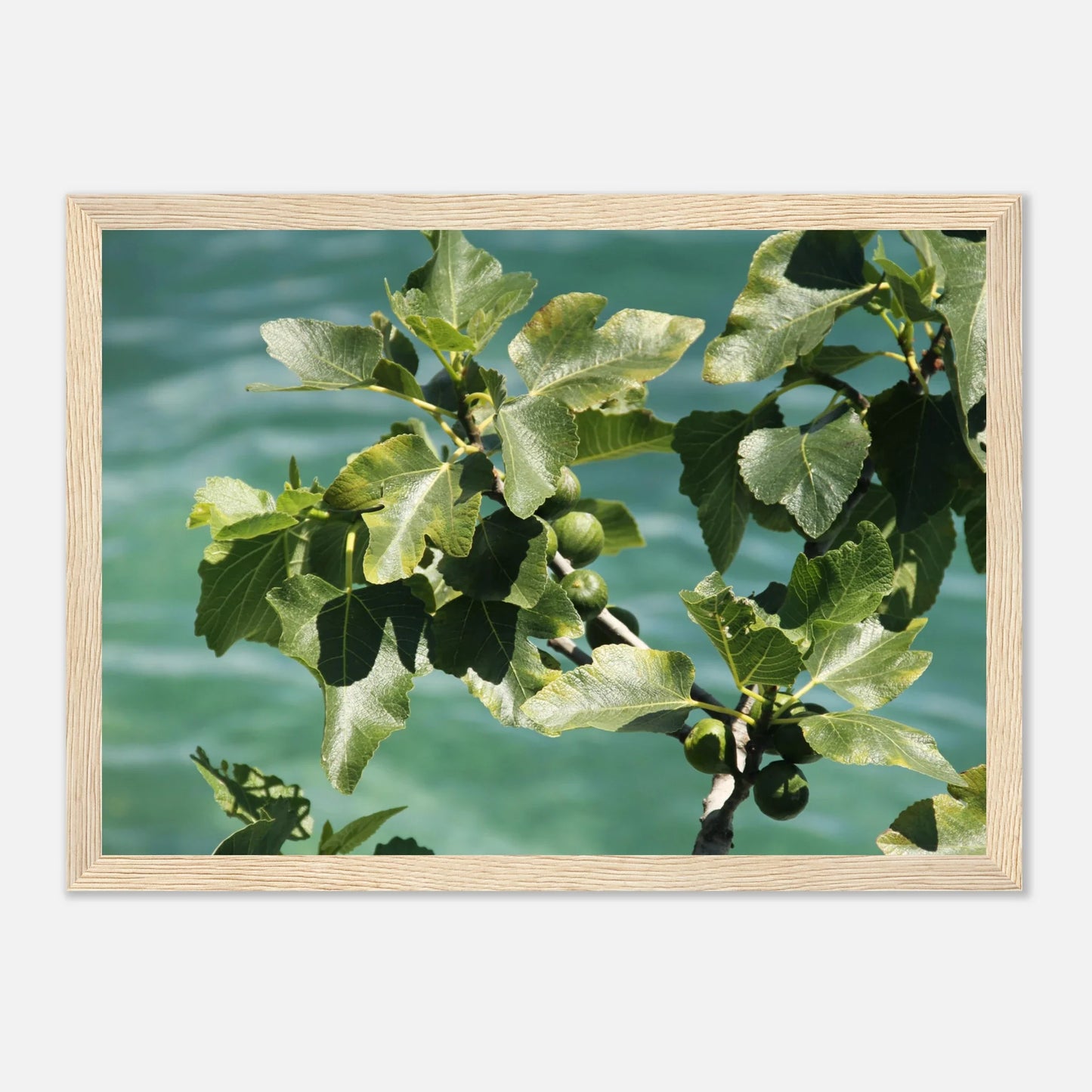 HAPPY MIND Poster *Italian Summer*
