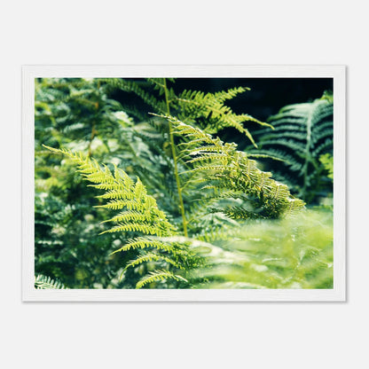 HAPPY MIND Poster *Natur pur*