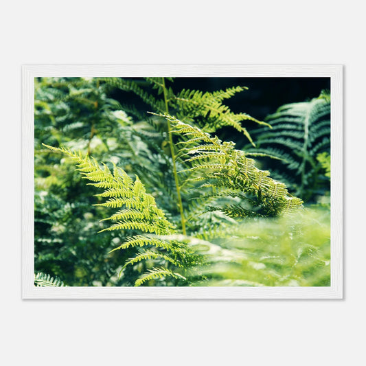 HAPPY MIND Poster *Natur pur*