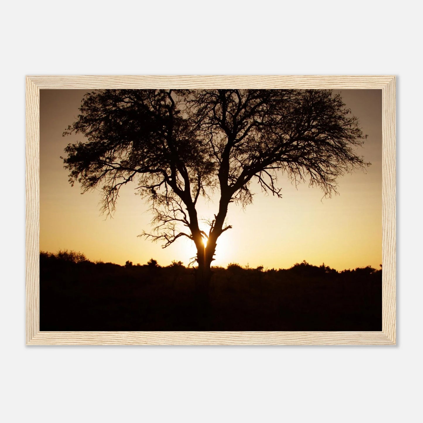 HAPPY MIND Poster *Magischer Baum*