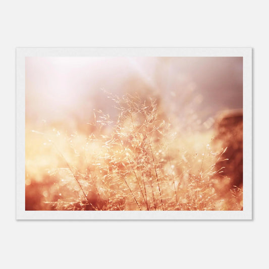 HAPPY MIND Poster *Sonnengeflüster*