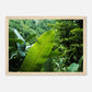 HAPPY MIND Poster *Into the Jungle*
