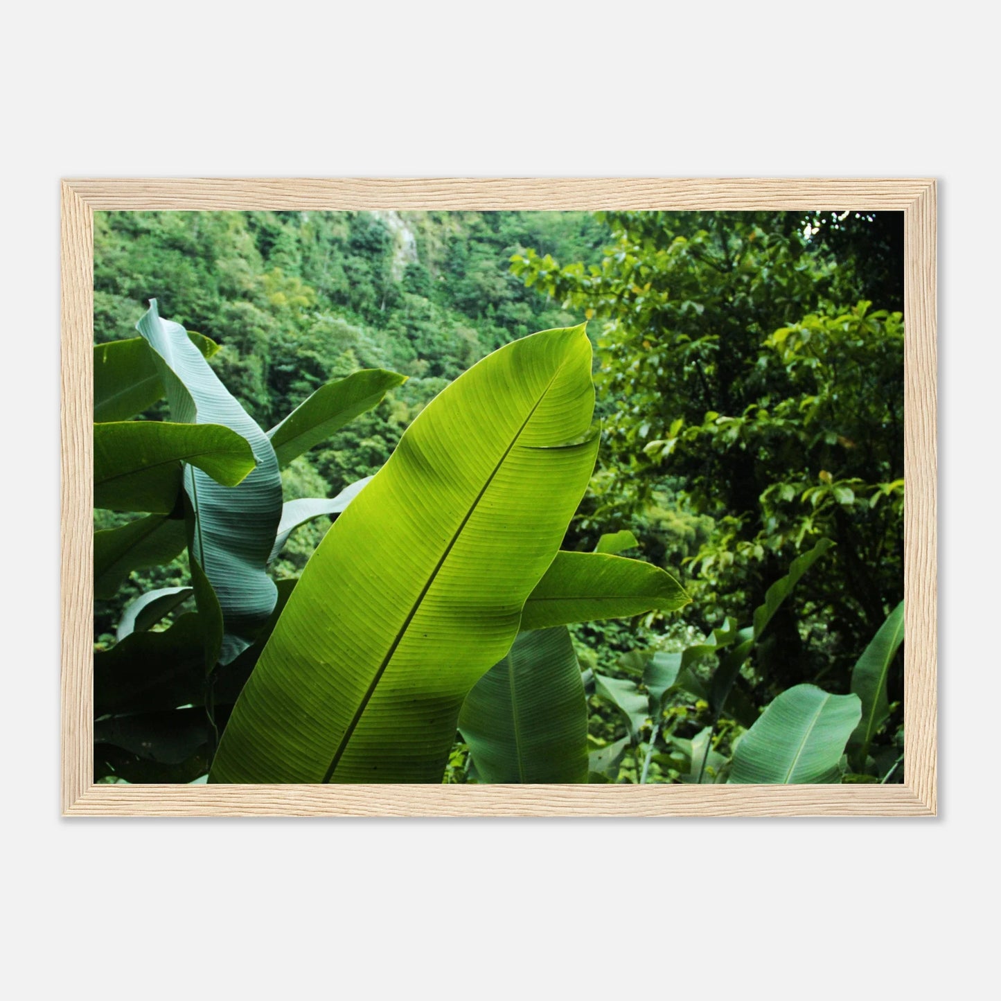 HAPPY MIND Poster *Into the Jungle*
