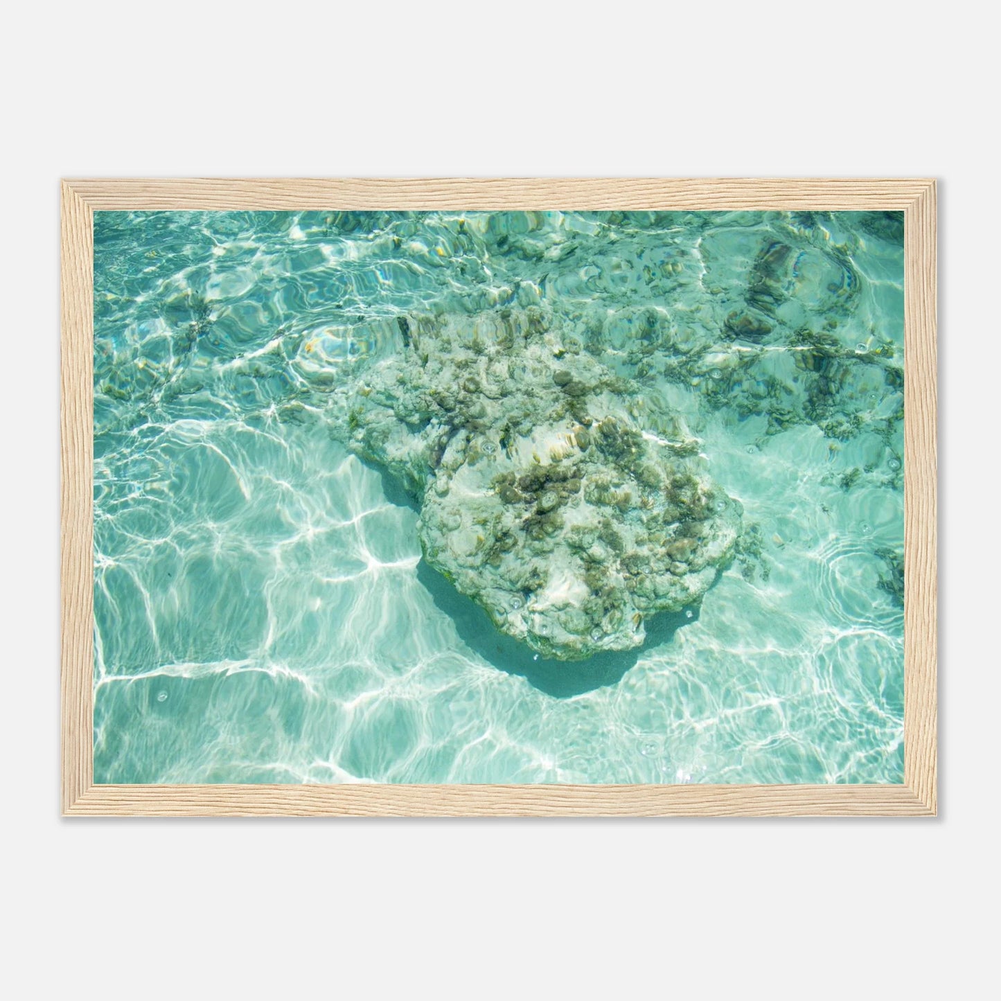 HAPPY MIND Poster *Tropischer Traum*