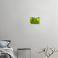 ab7287cb-1be8-4f0b-ac60-be12790ae4ca