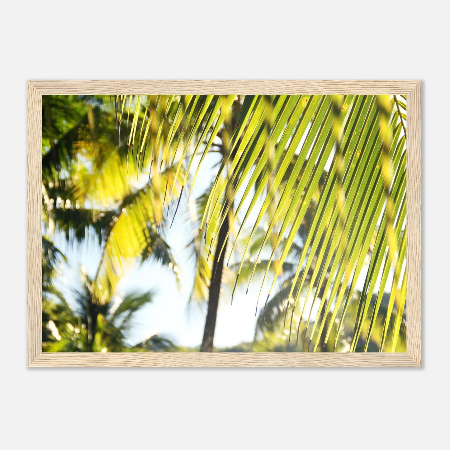 HAPPY MIND Poster *Tropenfeeling*