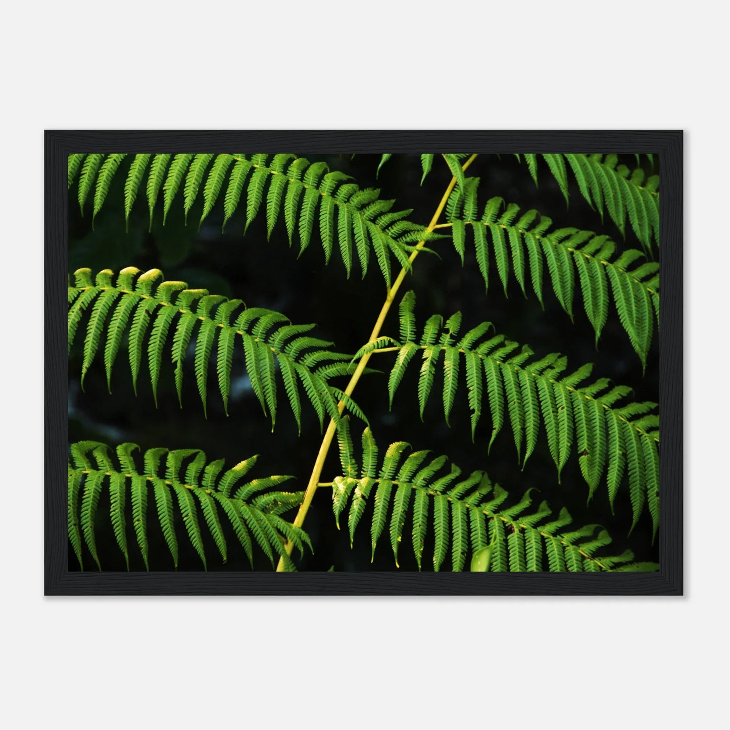 HAPPY MIND Poster *Grüne Naturkraft*